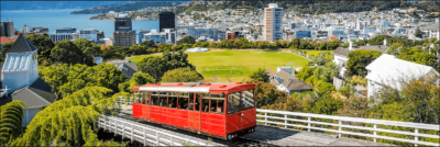 wellington commercial cleaning